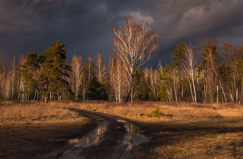 луг зима февраль закат тучи Где, словно лава, вдруг вскипел закат фото превью