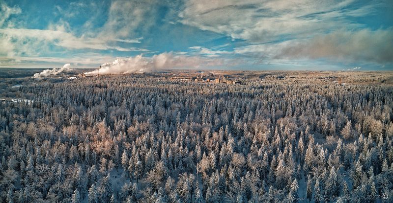 Светогорск 2022. фото превью