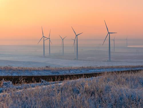 Зимний рассвет в ветропарке