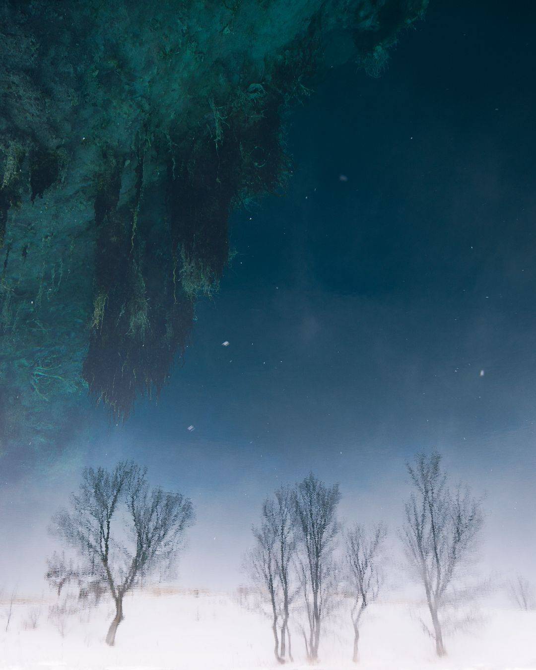 , Алексей Проняхин