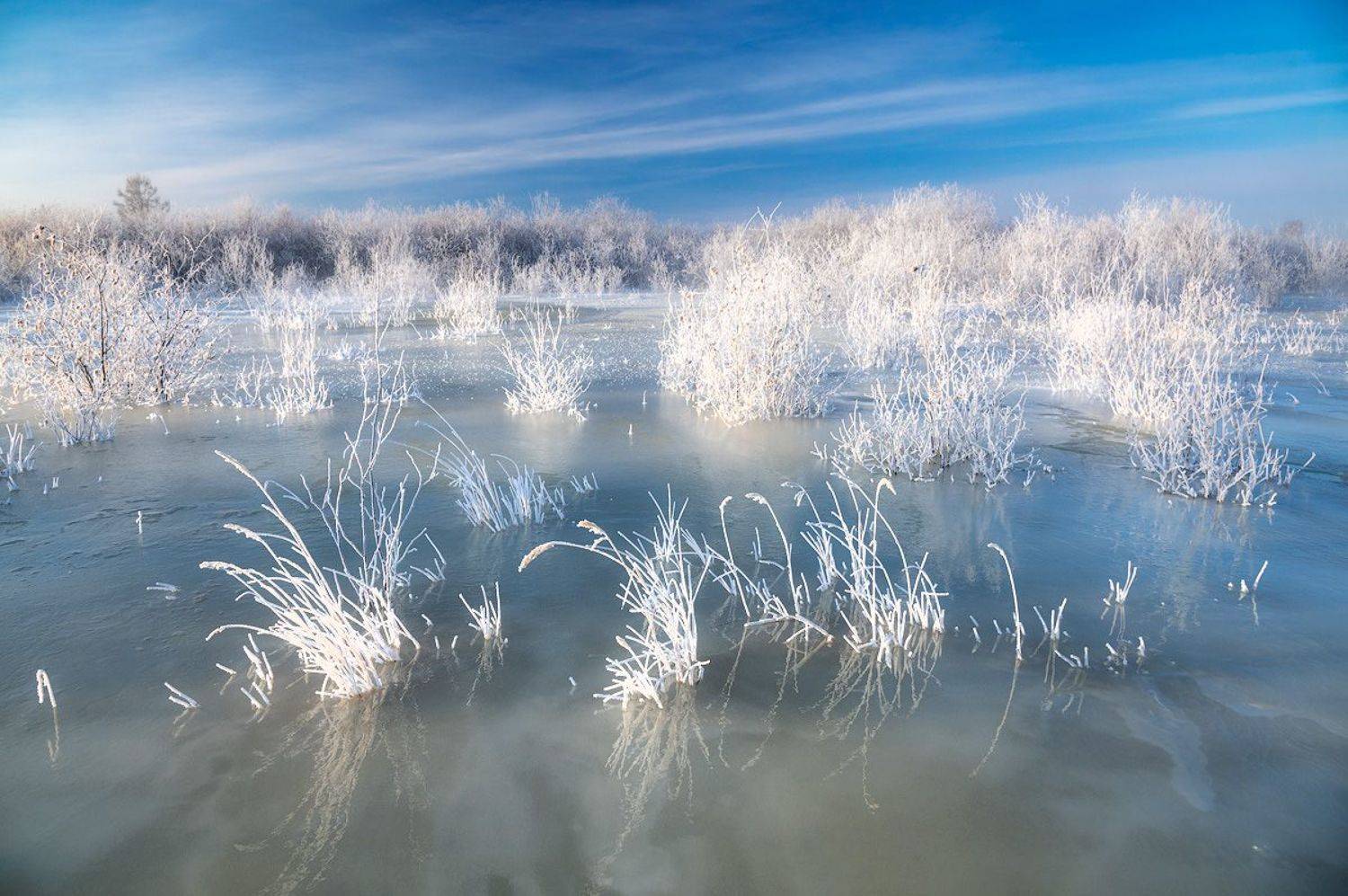 , Сергей Брагин