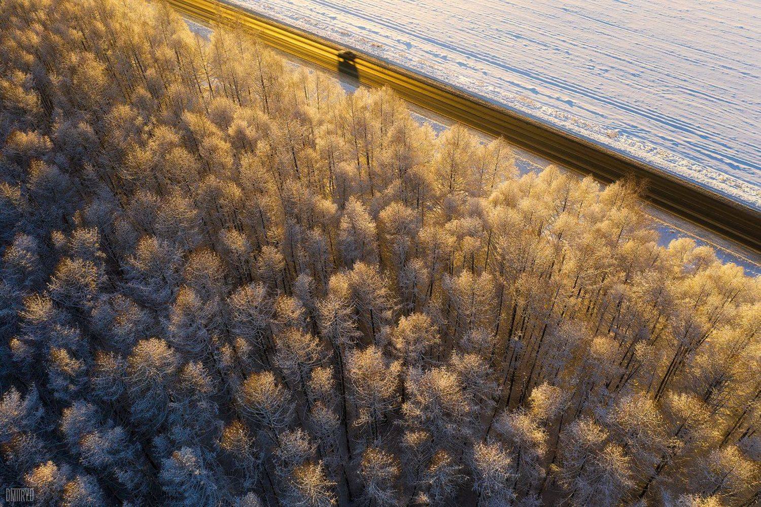 закат, иней, зима, дорога, лес,, Дмитрий Доронин