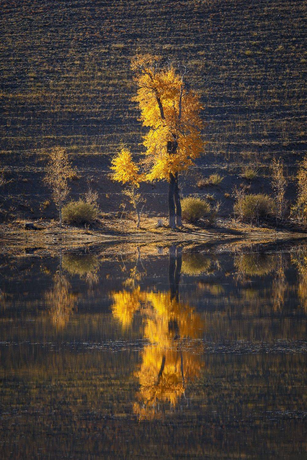 алтай, Александр Писарев