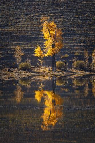 Отражение осени