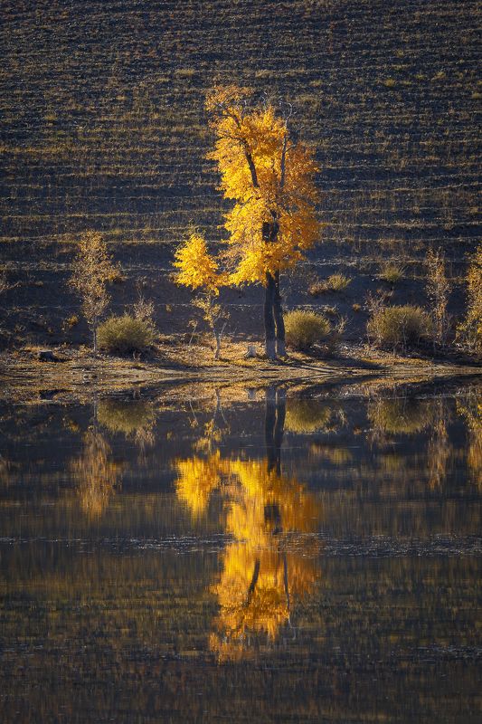 алтай Отражение осени фото превью