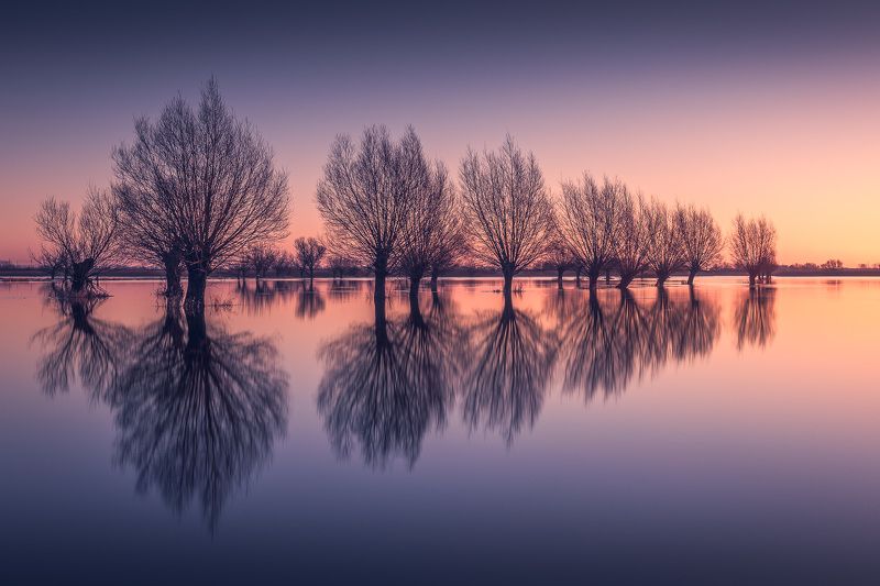 Reflection фото превью