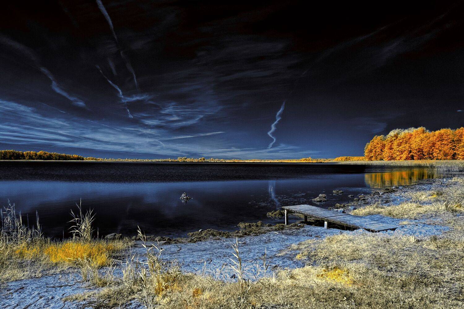 infrared,ик-фото,инфракрасное фото, инфракрасная фотография, пейзаж, лето,  Sixten (Сергей)
