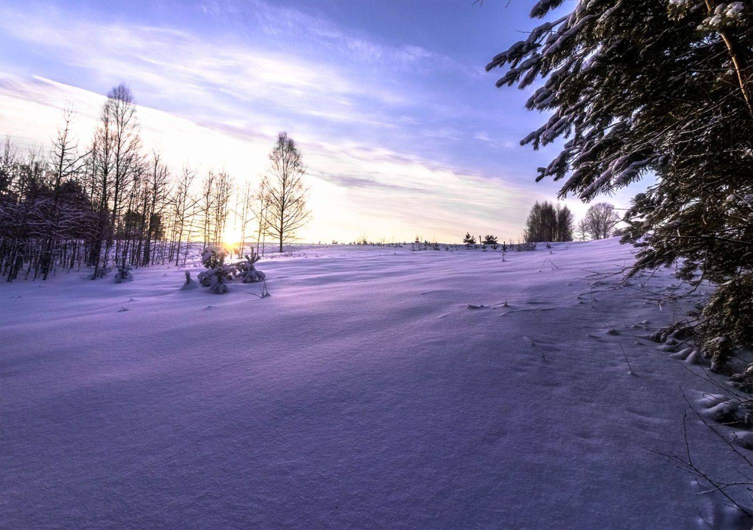 , Алексей Герасимов