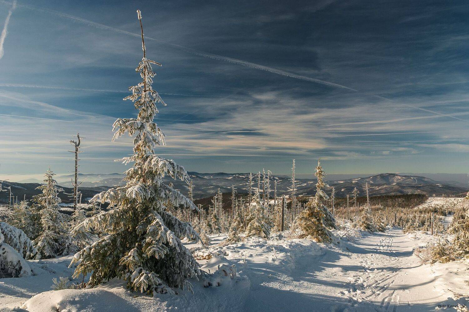 polska, zima, Kowalczyk Piotr