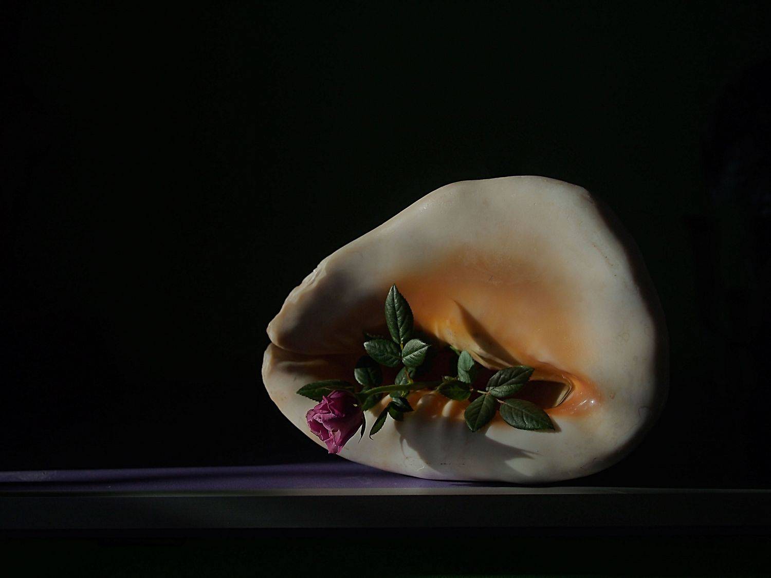 , Димитър Стоянов