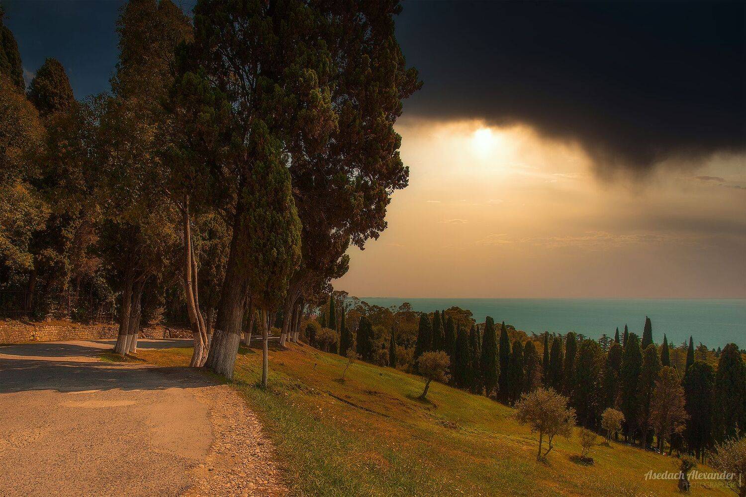 , Александр Аседач