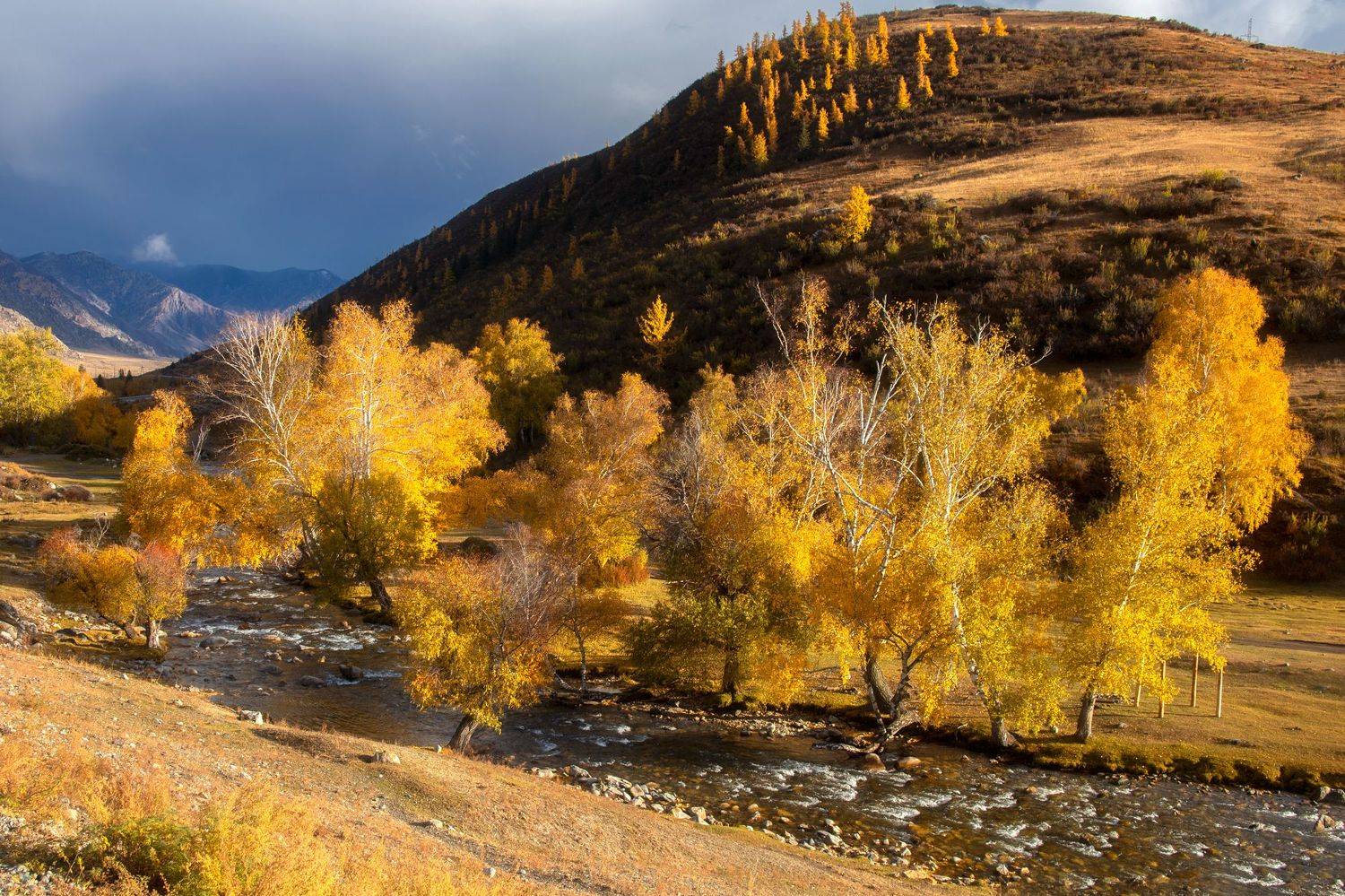 , Юрий Столыпин