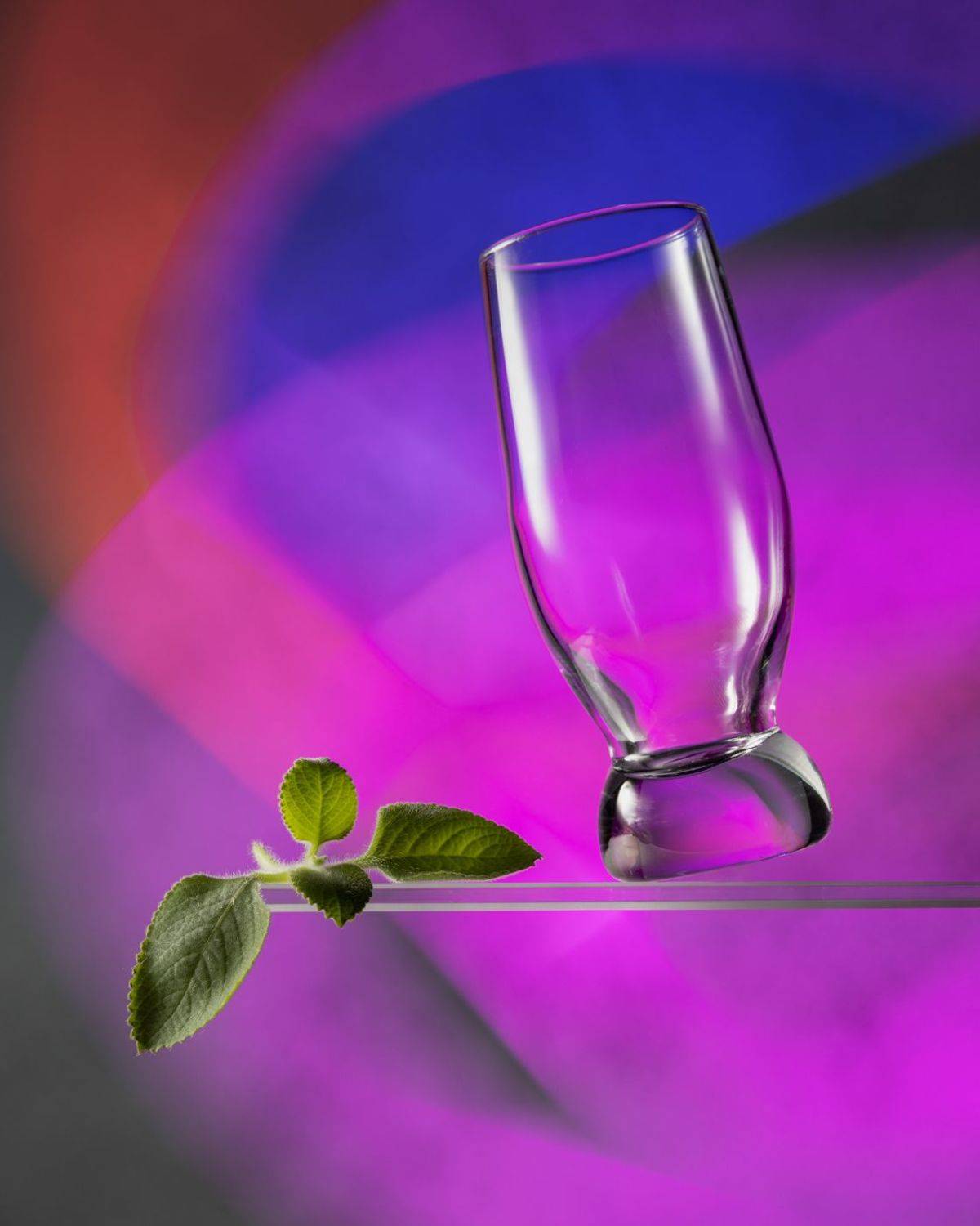 , Дмитрий Герц