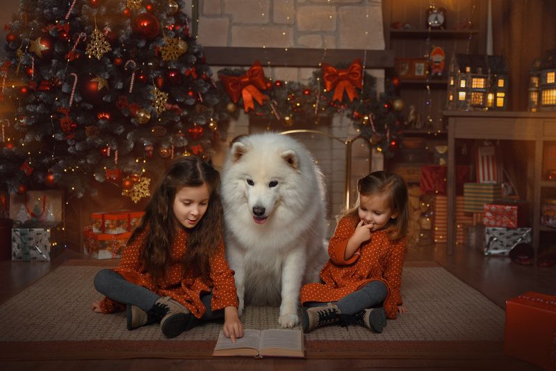 фото превью