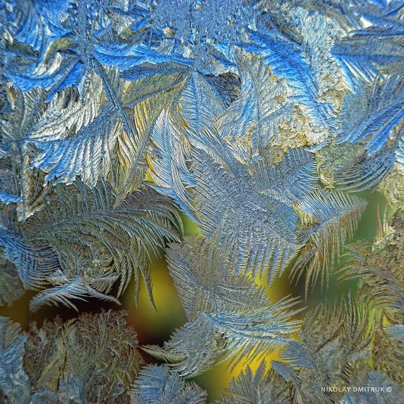 макро сумерки. графика мороза  фото превью