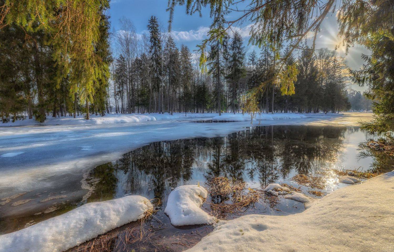 февраль солнце пруд снег зима ель отражение, Скороходов Константин