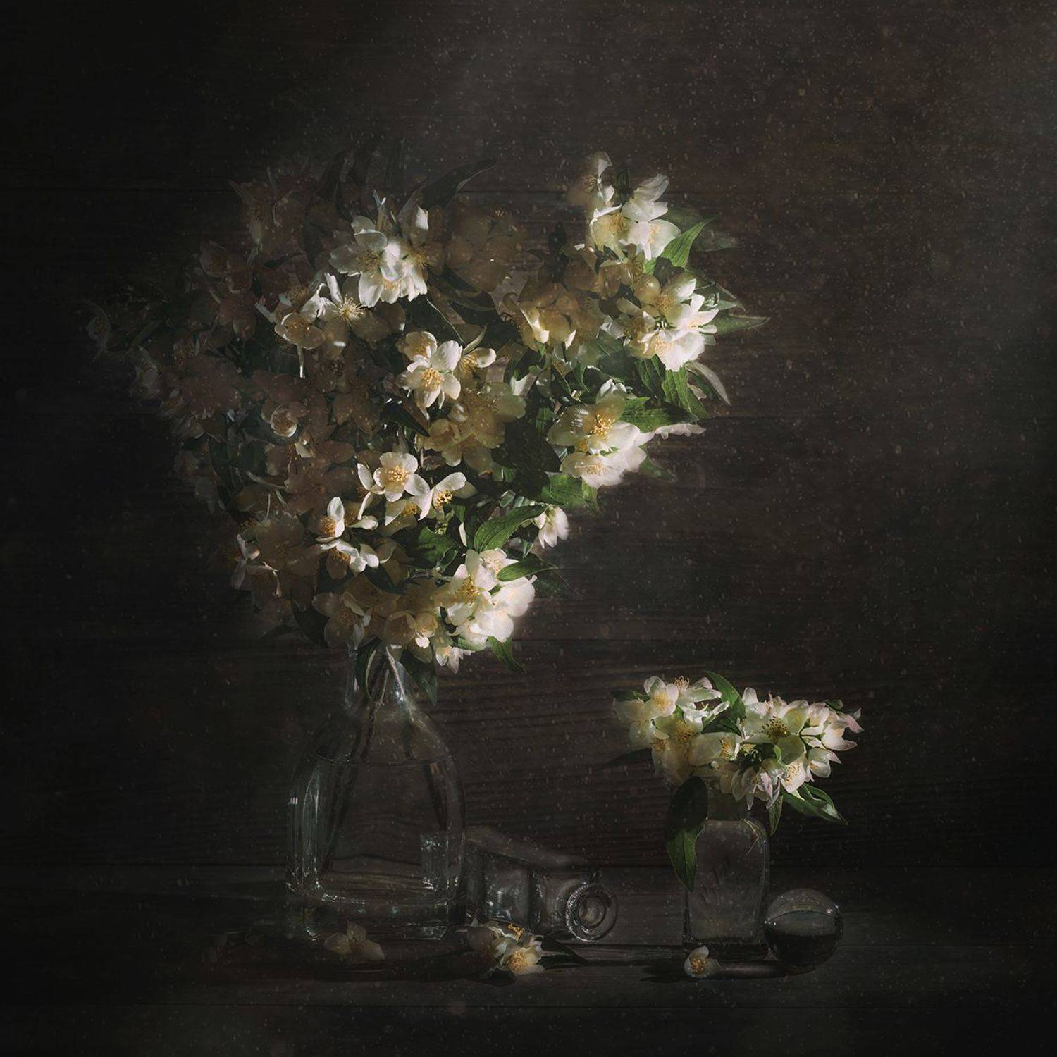 , MVO (Марк Орлов)