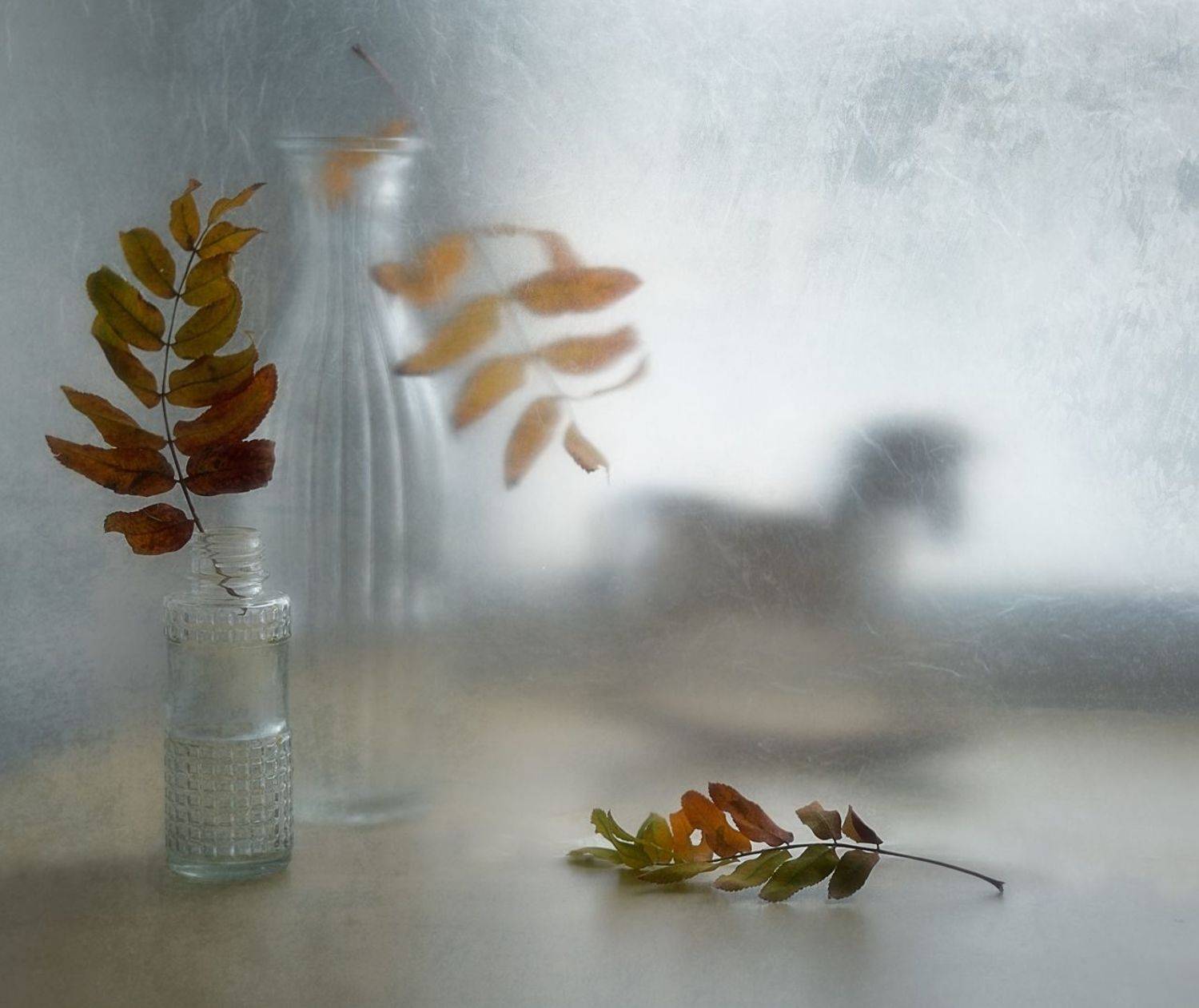 натюрморт,композиция,стекло,листья, Наталия К