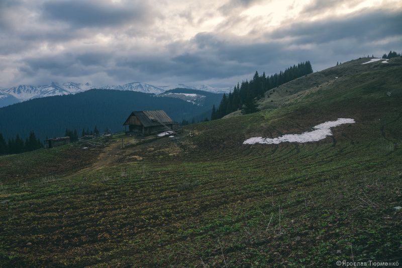 *** фото превью