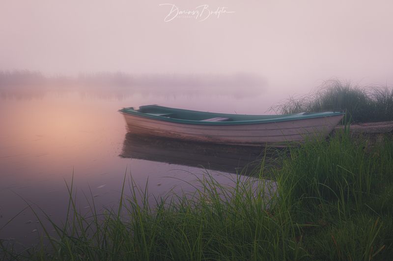 Morning fog фото превью