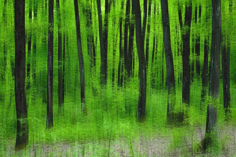 2021 фото превью