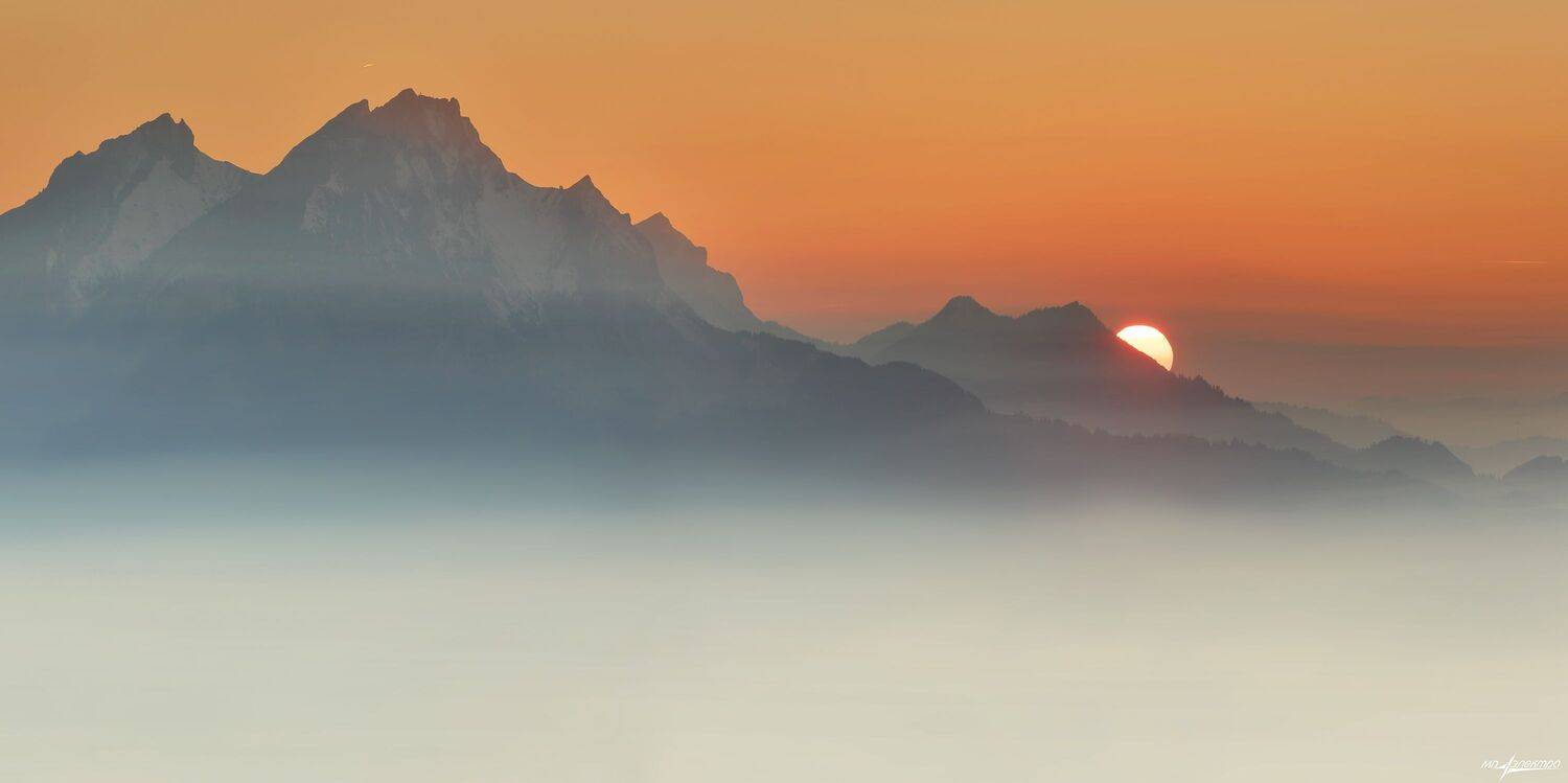 swiss, Матвеев Николай