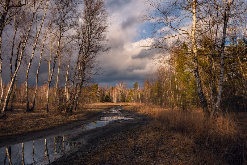 луг зима февраль закат тучи лужи Февральский день лениво шел к закату и вдруг сверкнуло солнце жарким златом фото превью