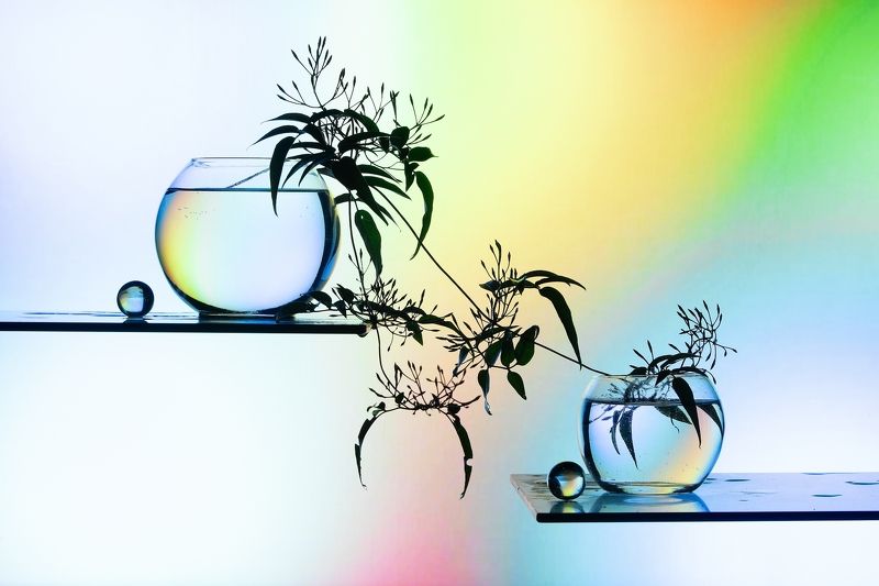 Bodegón de cristal фото превью