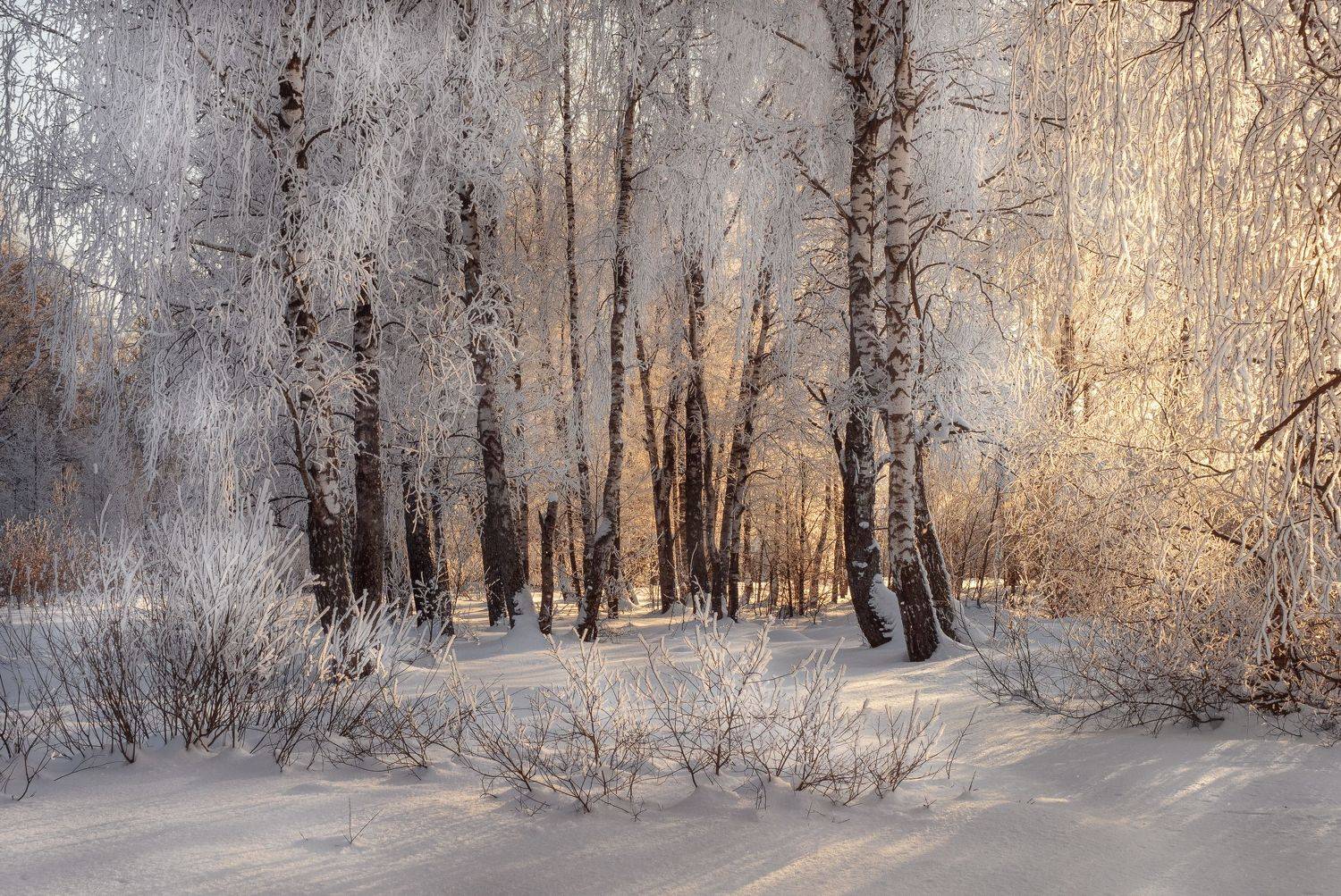 , Мозжухин Максим