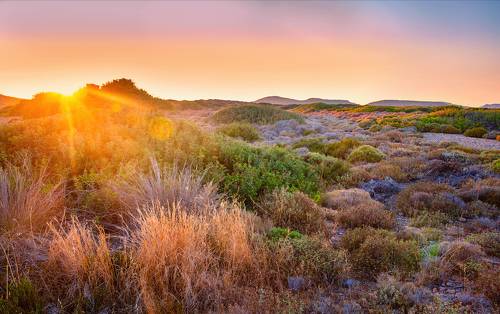 Греческие каникулы 2