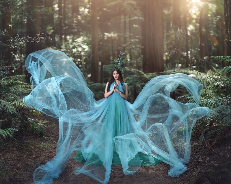 blue, dress, платье, бабочки, лес, богиня, художественная, фотография, фотосессия, волшебная, портрет, голубой Forest fairy фото превью