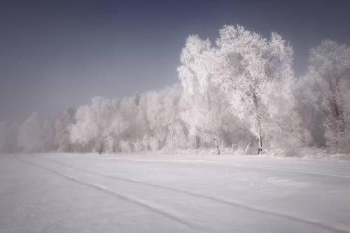 Морозная Сибирь