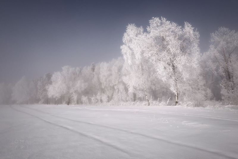 зима, туман, мороз, сибирь, железногорск, красноярский край, иней Морозная Сибирь фото превью