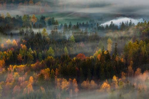 Autumn...