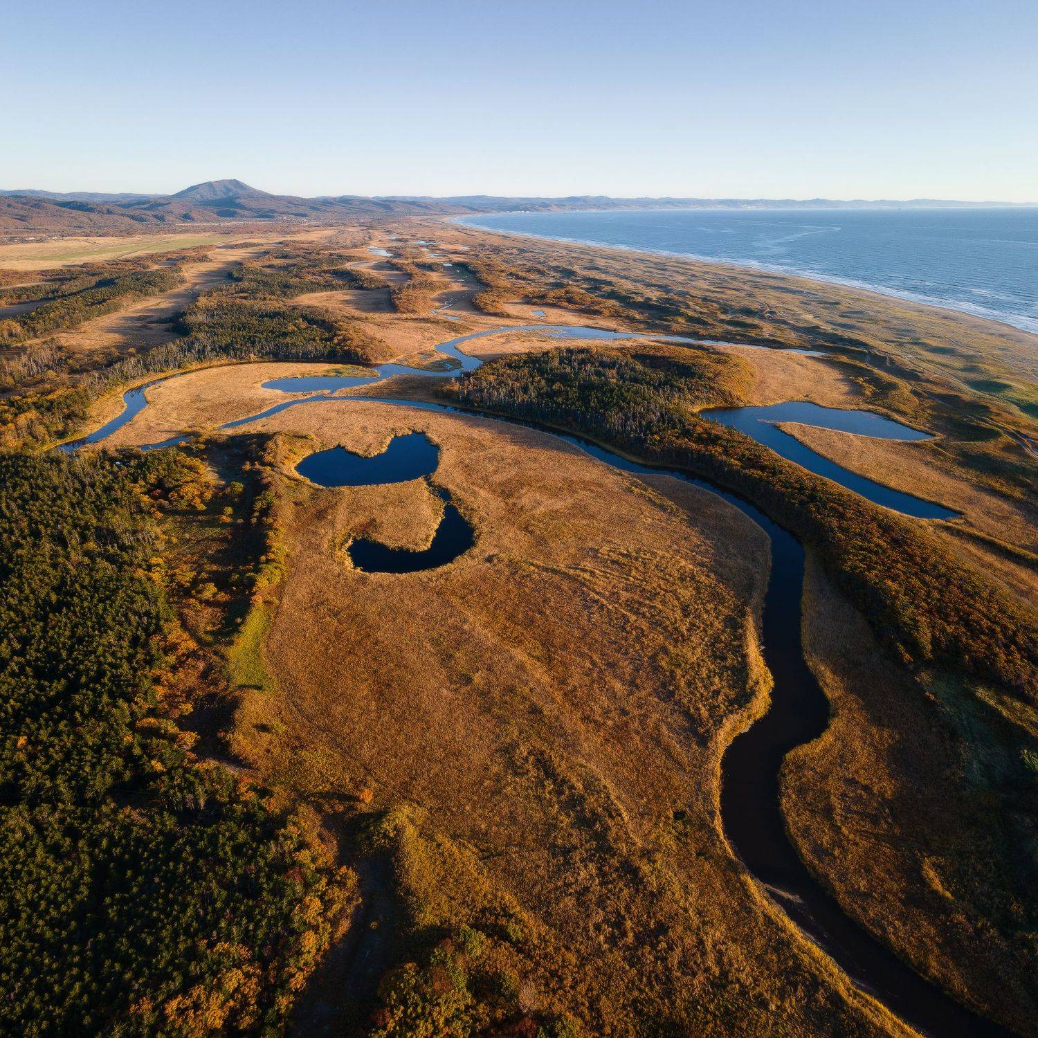 , Наталья Лабодина