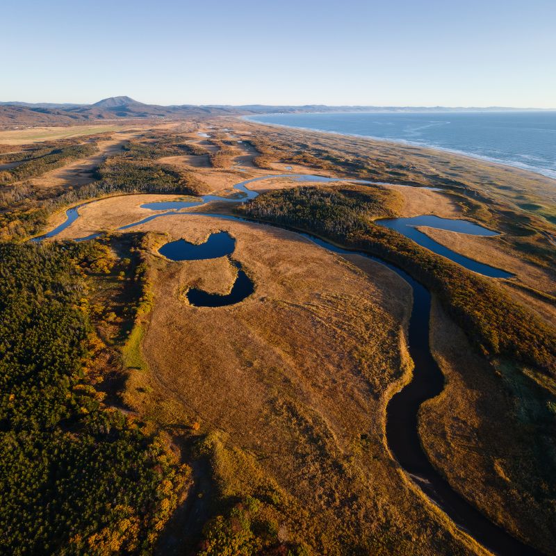 Осенние узоры. фото превью