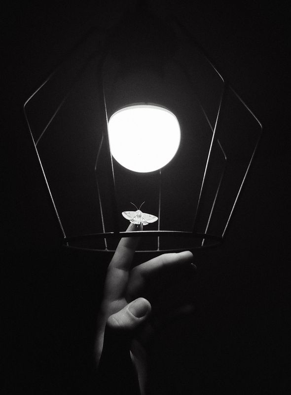 к свету  фото превью