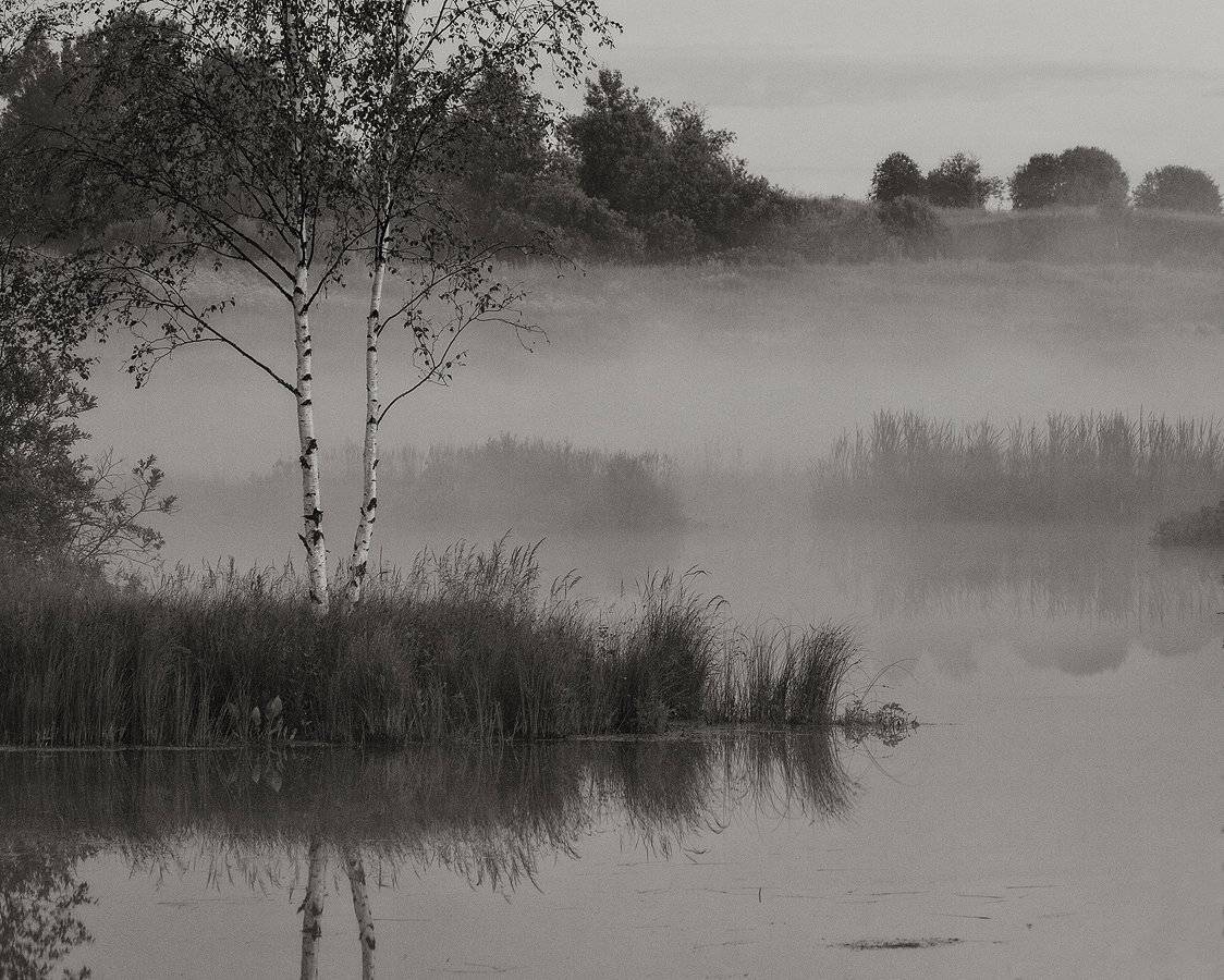 , Владимир Перепечаев