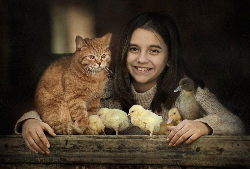 Компания... фото превью