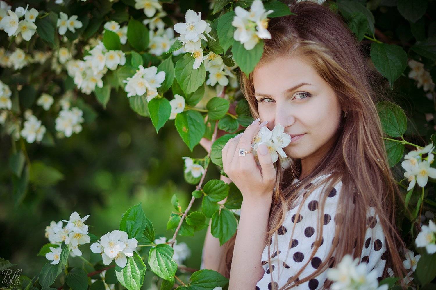 портрет, Роман Шимкович