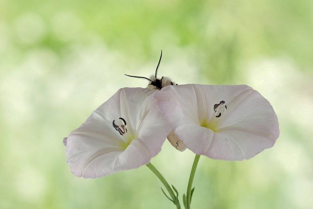 , Сергей Таланов