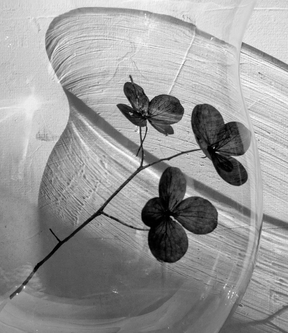 , Людмила Прокофьева