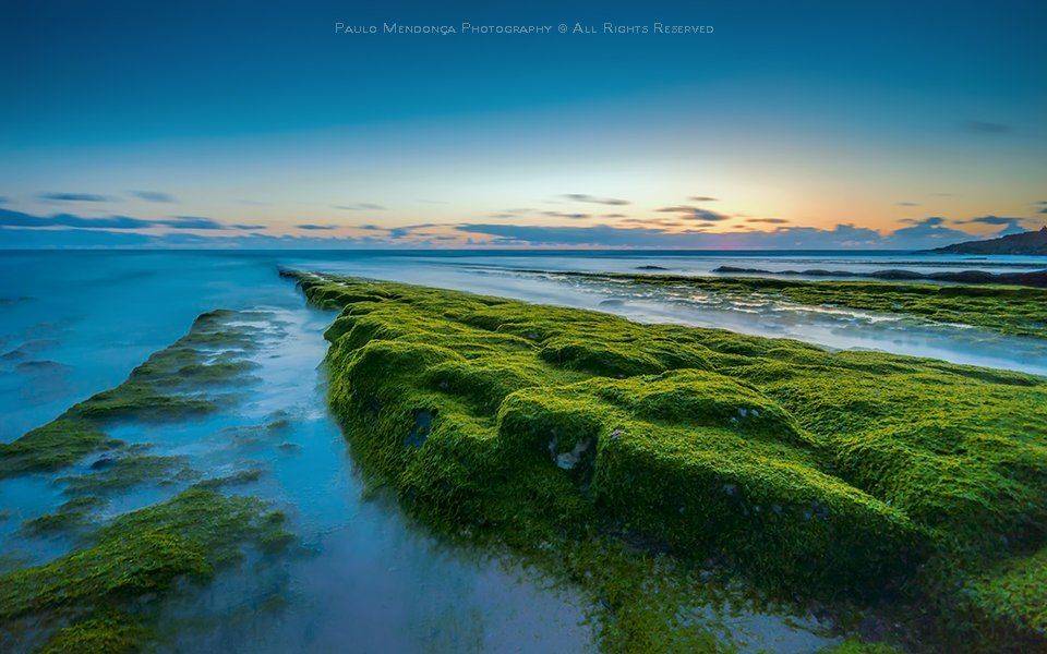 , Paulo Mendon&ccedil;a