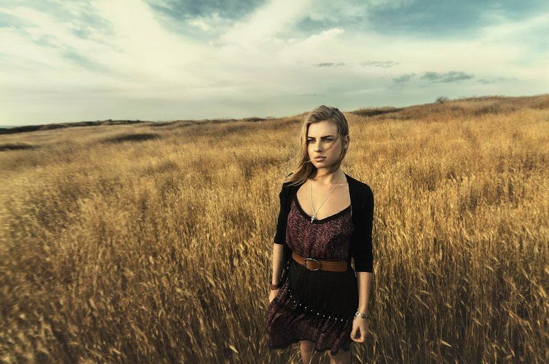 dry spikelets фото превью