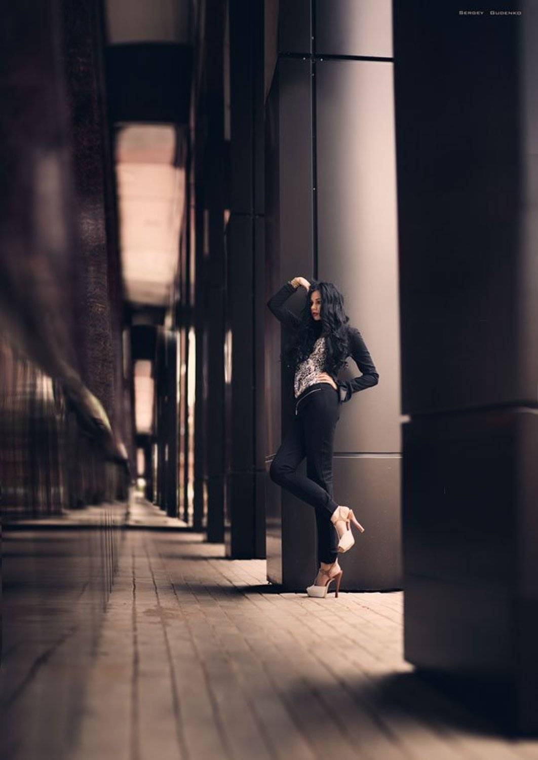 , Сергей Гуденко