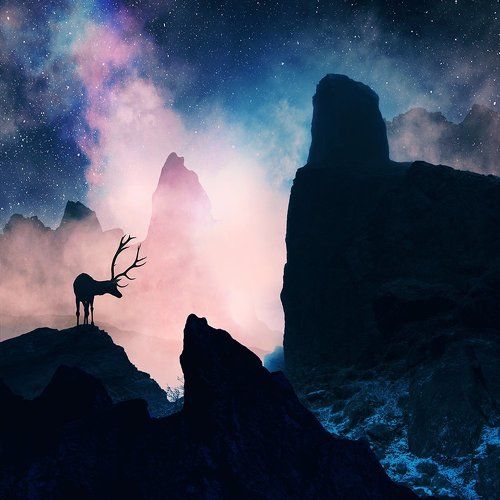 The unrecoverable dreamer