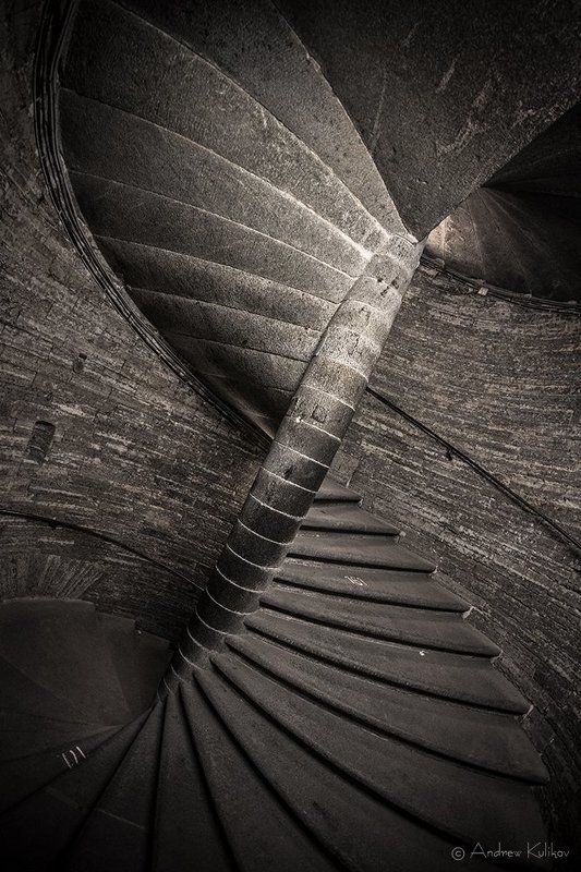 ДНК Петербурга фото превью