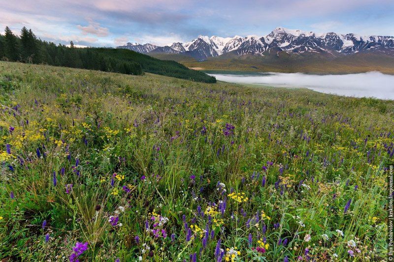 Утро фото превью