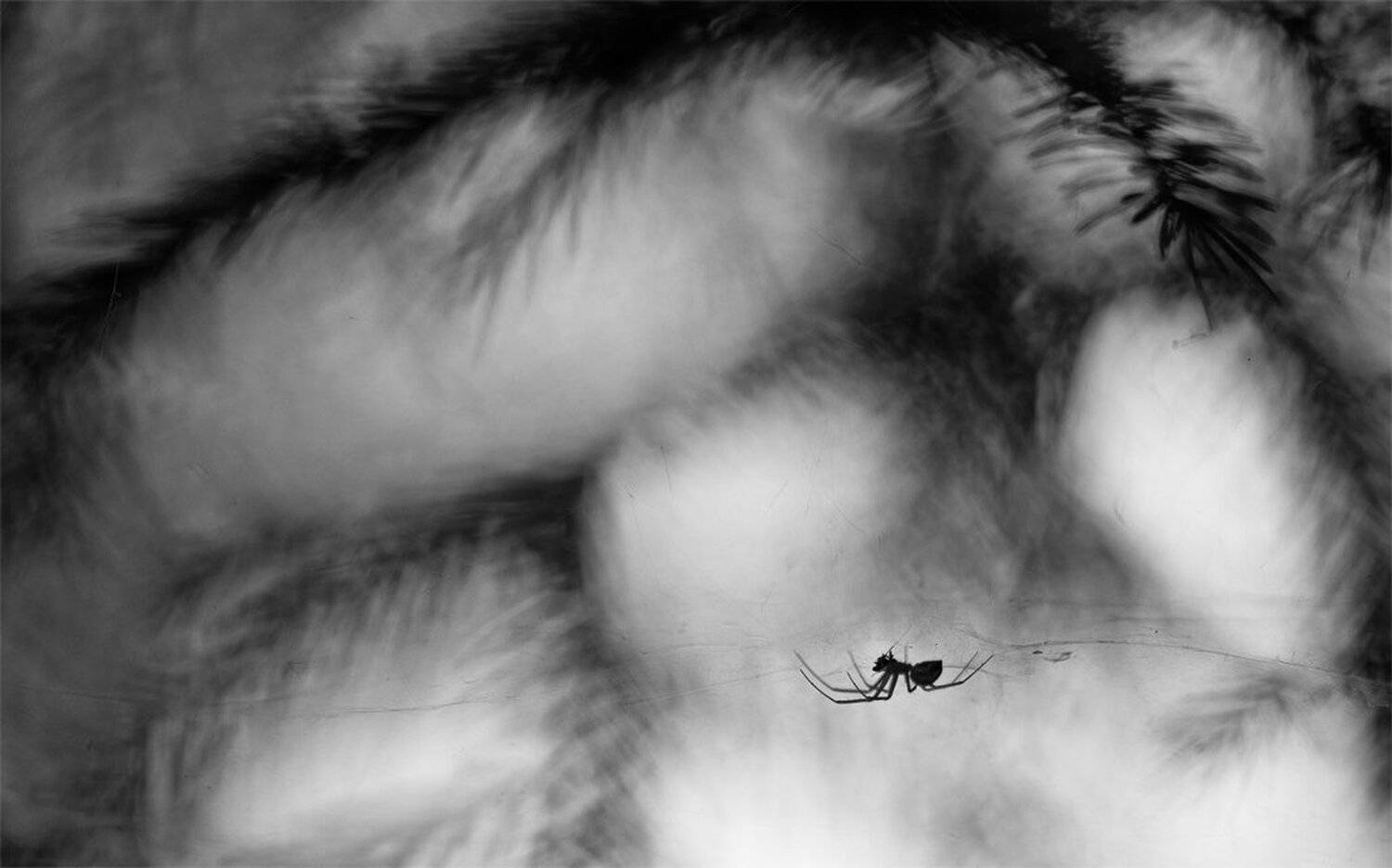 , Геннадий Мещеряков