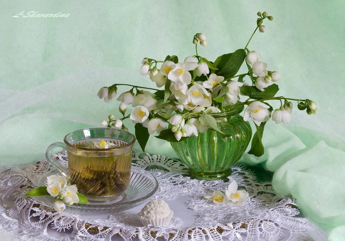 , Елизавета Шавардина